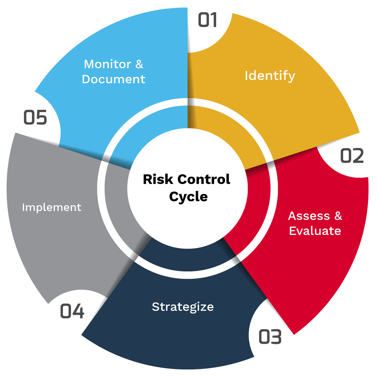 Risk-Control-Process